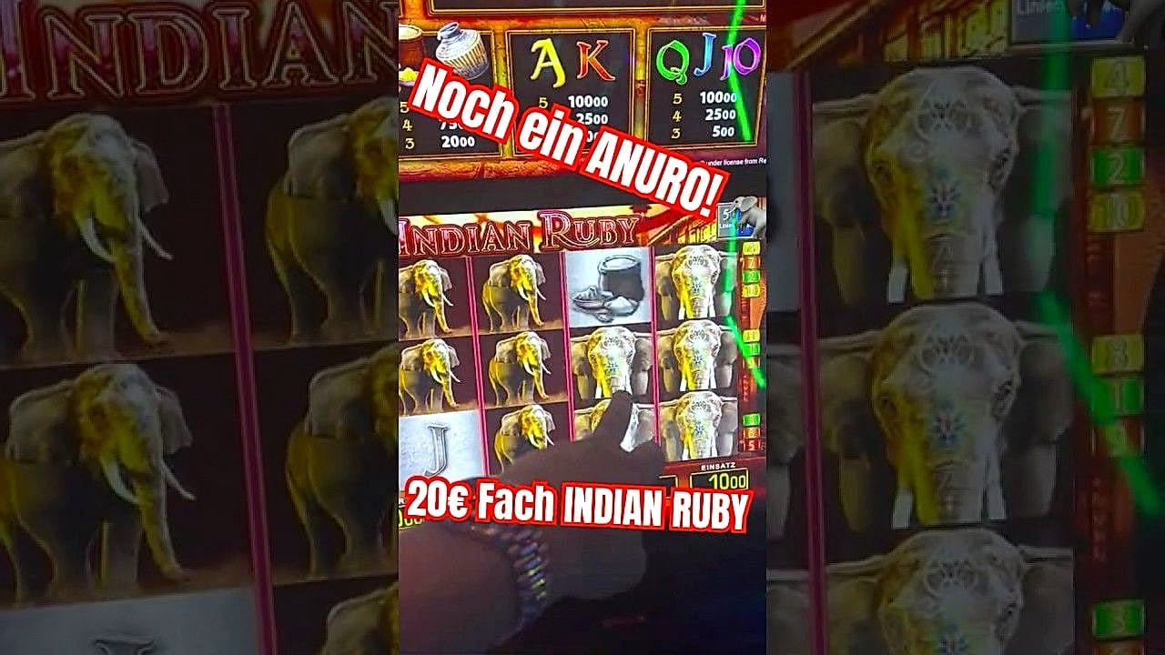 Spinorhino en 2026 : ce que vaut vraiment l'expérience utilisateur